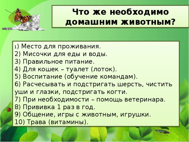 Что же необходимо домашним животным? 1 ) Место для проживания. 2) Мисочки для еды и воды. 3) Правильное питание. 4) Для кошек – туалет (лоток). 5) Воспитание (обучение командам). 6) Расчесывать и подстригать шерсть, чистить уши и глазки, подстригать когти. 7) При необходимости – помощь ветеринара. 8) Прививка 1 раз в год. 9) Общение, игры с животным, игрушки. 10) Трава (витамины). 