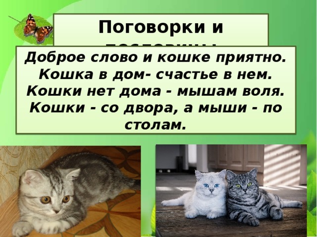 Поговорки и пословицы Доброе слово и кошке приятно. Кошка в дом- счастье в нем. Кошки нет дома - мышам воля. Кошки - со двора, а мыши - по столам. 