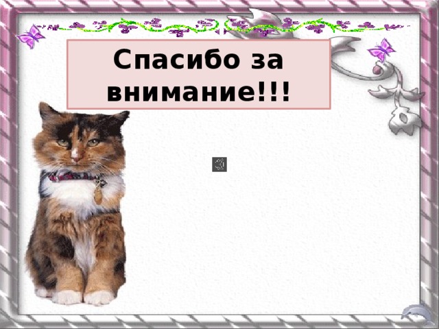 Спасибо за внимание!!! 