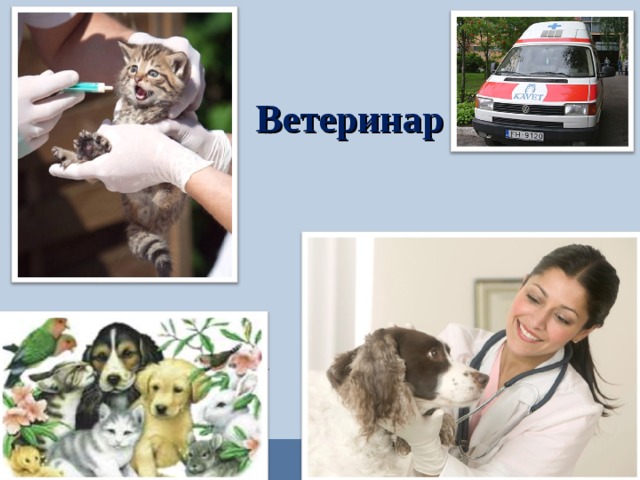 Ветеринар  