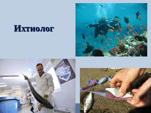 Ихтиолог 