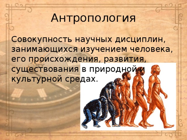 Антропология Совокупность научных дисциплин, занимающихся изучением человека, его происхождения, развития, существования в природной и культурной средах. 