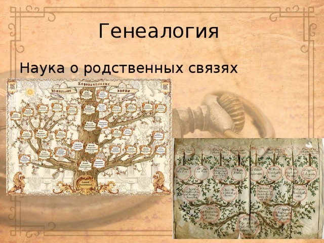 Генеалогия Наука о родственных связях 