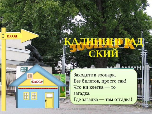 ВХОД КАЛИНИНГРАДСКИЙ Заходите в зоопарк,  Без билетов, просто так!  Что ни клетка — то загадка.  Где загадка — там отгадка! КАССА МБОУ СОШ г.Багратионовска 