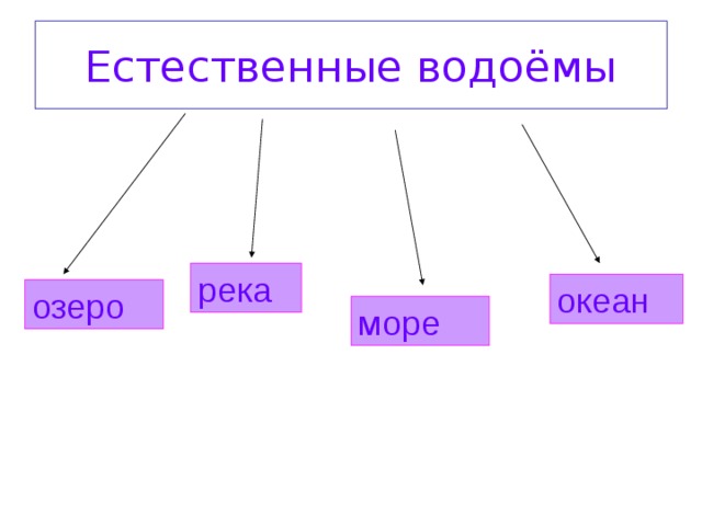 Естественные водоёмы река океан озеро море 