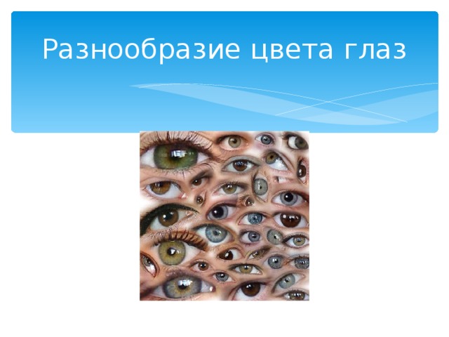 Разнообразие цвета глаз 