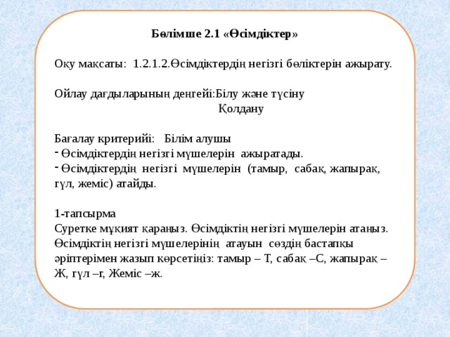 Бөлімше 2.1 «Өсімдіктер»  Оқу мақсаты: 1.2.1.2.Өсімдіктердің негізгі бөліктерін ажырату. Ойлау дағдыларының деңгейі:Білу және түсіну  Қолдану Бағалау критерийі: Білім алушы  Өсімдіктердің негізгі мүшелерін ажыратады.  Өсімдіктердің негізгі мүшелерін (тамыр, сабақ, жапырақ, гүл, жеміс) атайды. 1-тапсырма Суретке мұқият қараңыз. Өсімдіктің негізгі мүшелерін атаңыз. Өсімдіктің негізгі мүшелерінің атауын сөздің бастапқы әріптерімен жазып көрсетіңіз: тамыр – Т, сабақ –С, жапырақ –Ж, гүл –г, Жеміс –ж. 