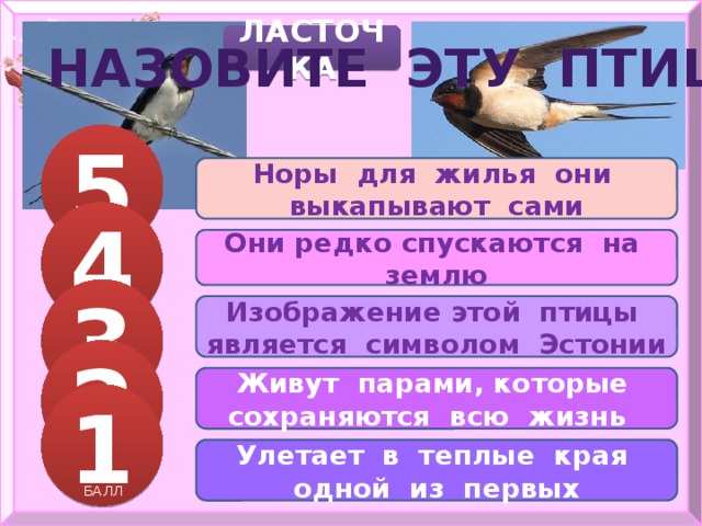 ЛАСТОЧКА НАЗОВИТЕ ЭТУ ПТИЦУ 5 Норы для жилья они выкапывают сами 4 БАЛЛОВ Они редко спускаются на землю 3 Изображение этой птицы является символом Эстонии БАЛЛА 2 Живут парами, которые сохраняются всю жизнь 1 БАЛЛА 1 БАЛЛА Улетает в теплые края одной из первых БАЛЛ 