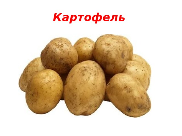 Картофель 