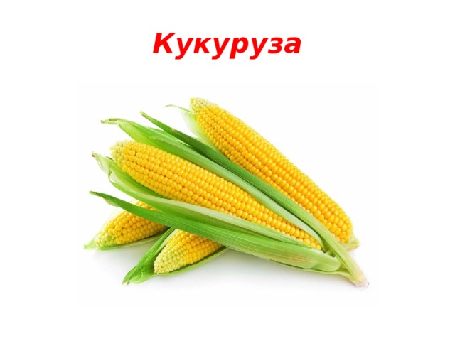 Кукуруза 