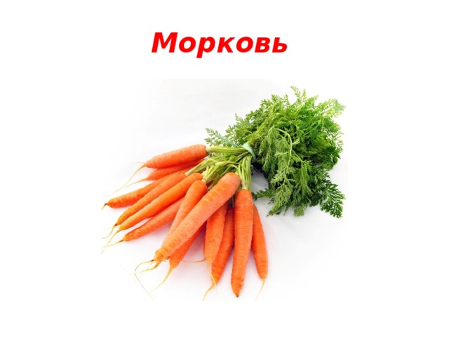 Морковь 