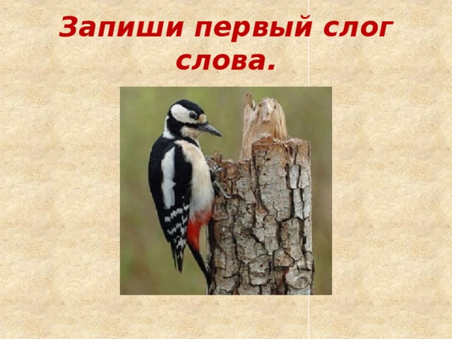 Запиши первый слог слова. 
