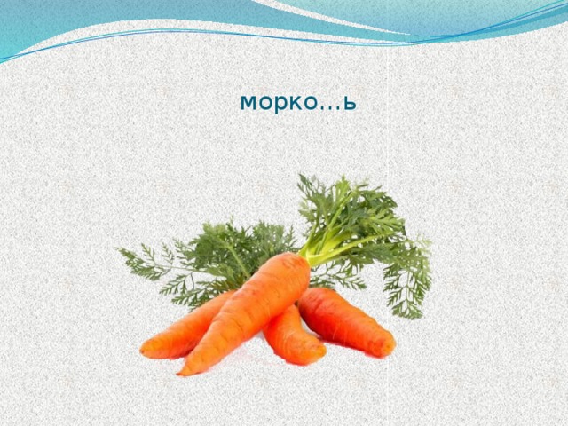  морко…ь 