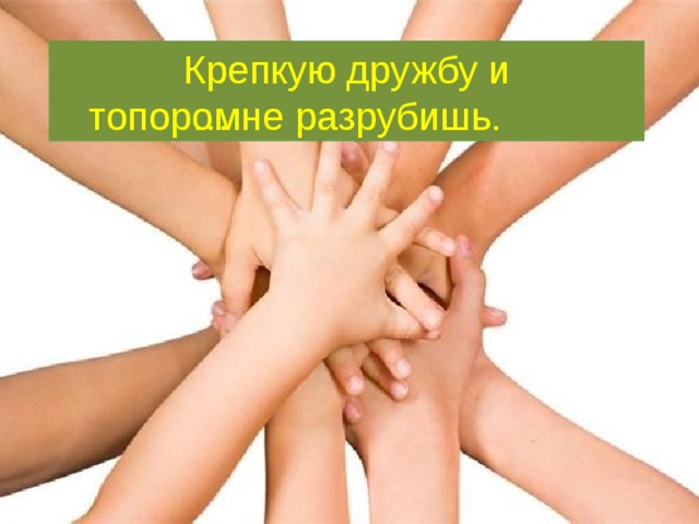 Крепкую дружбу и … не разрубишь. топором 