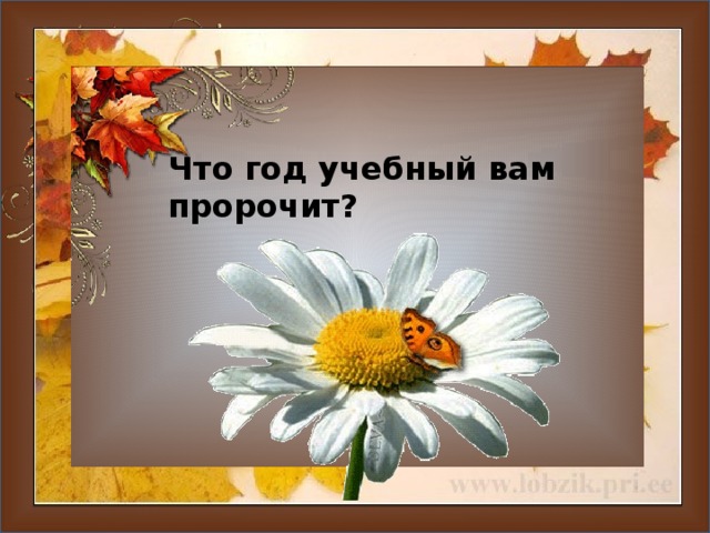 Что год учебный вам пророчит?  