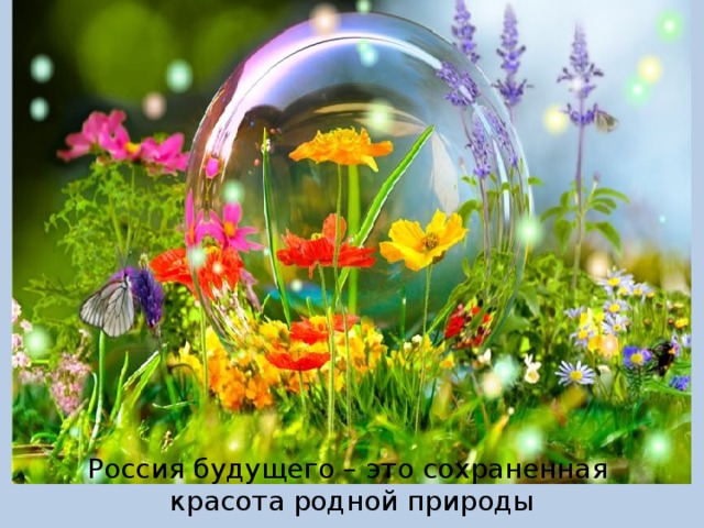 Россия будущего – это сохраненная красота родной природы 