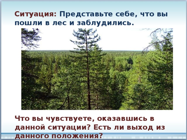 Ситуация: Представьте себе, что вы пошли в лес и заблудились. Что вы чувствуете, оказавшись в данной ситуации? Есть ли выход из данного положения? 