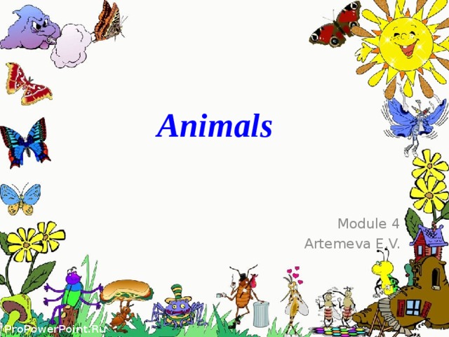 Animals  Module 4 Artemeva E.V. 
