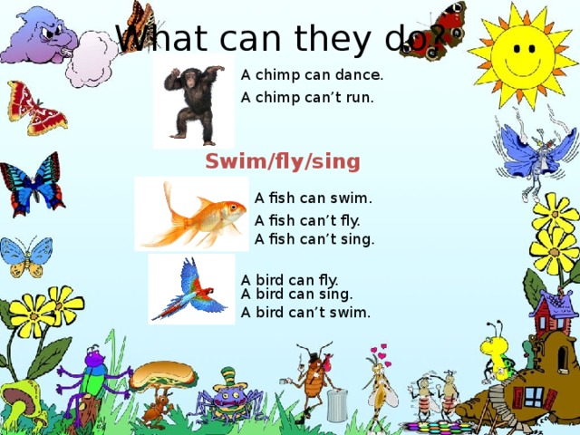 What can they do? A chimp can dance. A chimp can’t run. Swim/fly/sing A fish can swim. A fish can’t fly. A fish can’t sing. A bird can fly. A bird can sing. A bird can’t swim. 