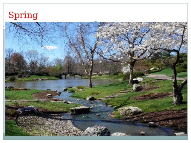 Spring 