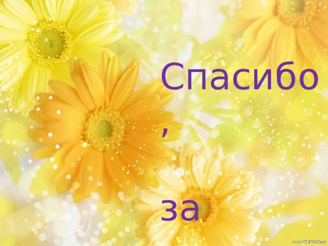 Спасибо,  за  игру ! 