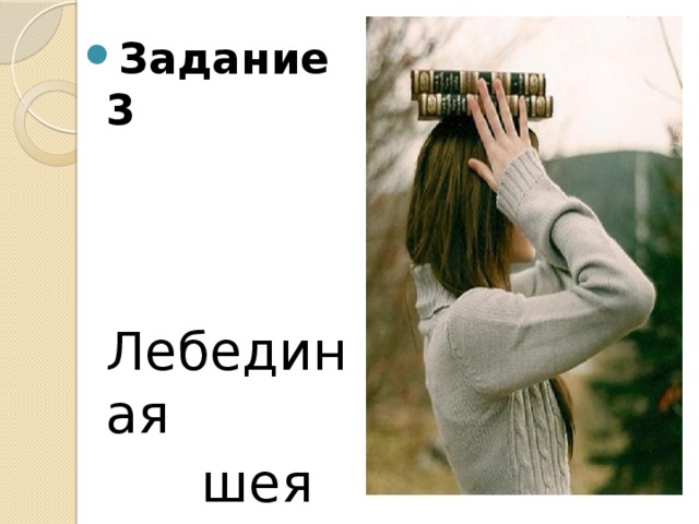 Задание 3  Лебединая  шея 