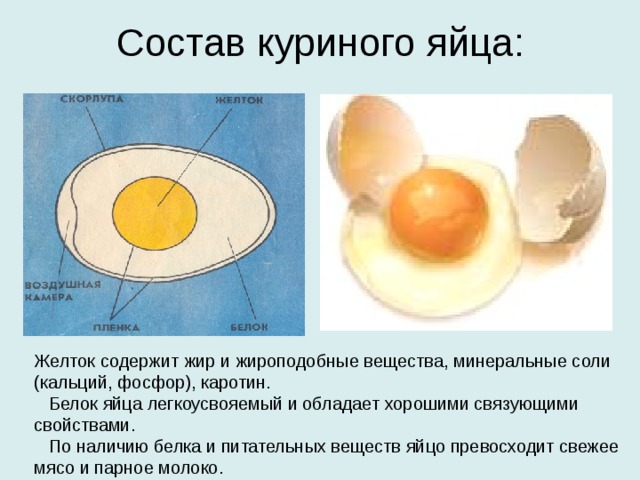 Состав куриного яйца: Желток содержит жир и жироподобные вещества, минеральные соли (кальций, фосфор), каротин.  Белок яйца легкоусвояемый и обладает хорошими связующими свойствами.  По наличию белка и питательных веществ яйцо превосходит свежее мясо и парное молоко. 