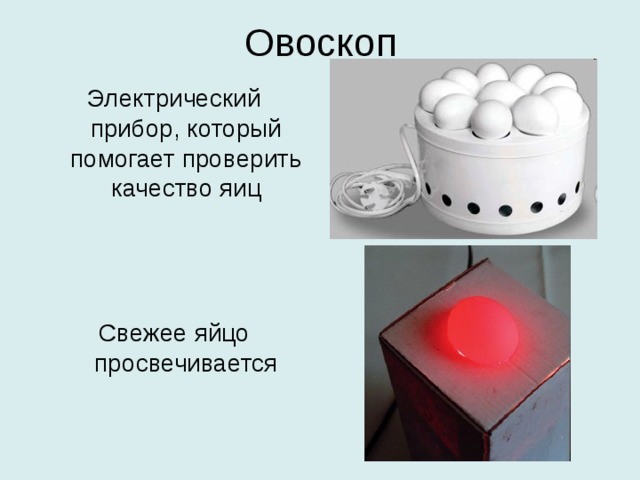 Овоскоп Электрический прибор, который помогает проверить качество яиц Свежее яйцо просвечивается 