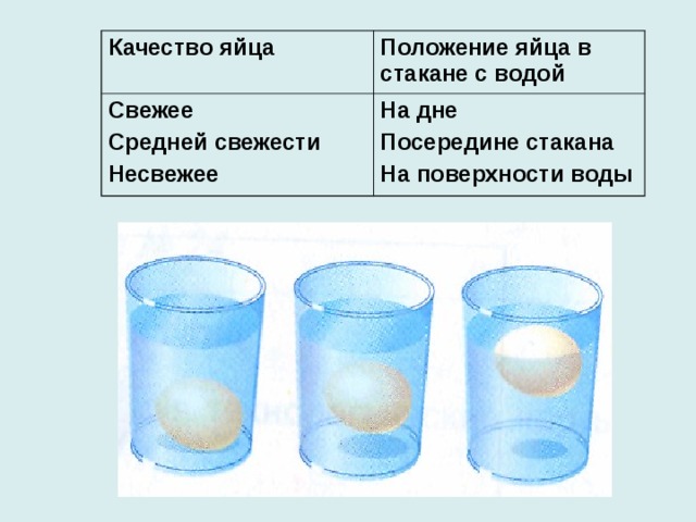 Качество яйца Положение яйца в стакане с водой Свежее Средней свежести Несвежее На дне Посередине стакана На поверхности воды 