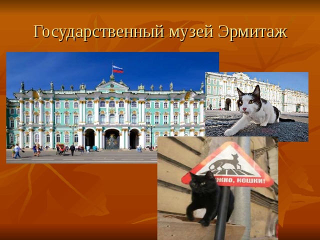 Государственный музей Эрмитаж 