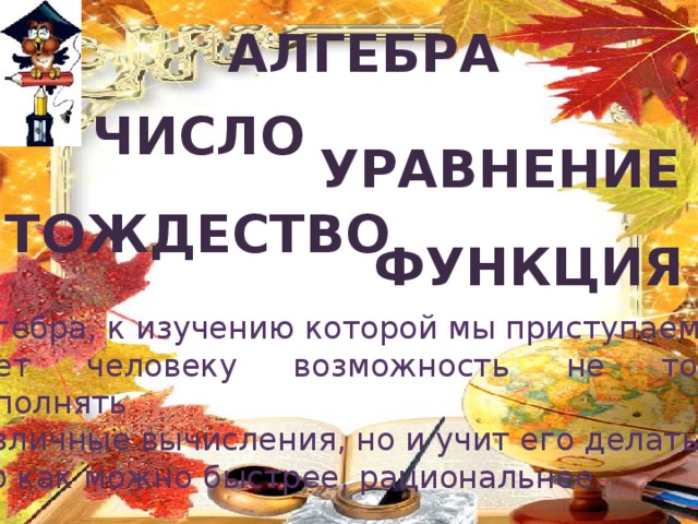 Алгебра число уравнение тождество функция Алгебра, к изучению которой мы приступаем, дает человеку возможность не только выполнять различные вычисления, но и учит его делать это как можно быстрее, рациональнее. 
