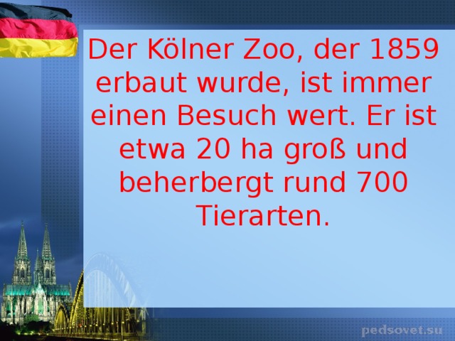    Der Kölner Zoo, der 1859 erbaut wurde, ist immer einen Besuch wert. Er ist etwa 20 ha groß und beherbergt rund 700 Tierarten. 