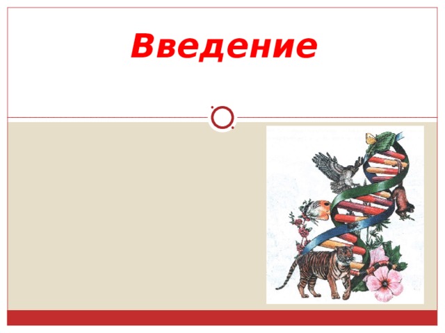 Введение 