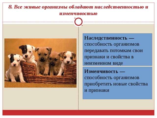 8. Все живые организмы обладают наследственностью и изменчивостью Наследственность — способность организмов передавать потомкам свои признаки и свойства в неизменном виде Изменчивость — способность организмов приобретать новые свойства и признаки 
