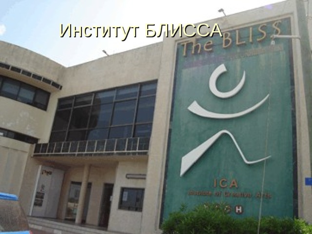 Институт БЛИССА 