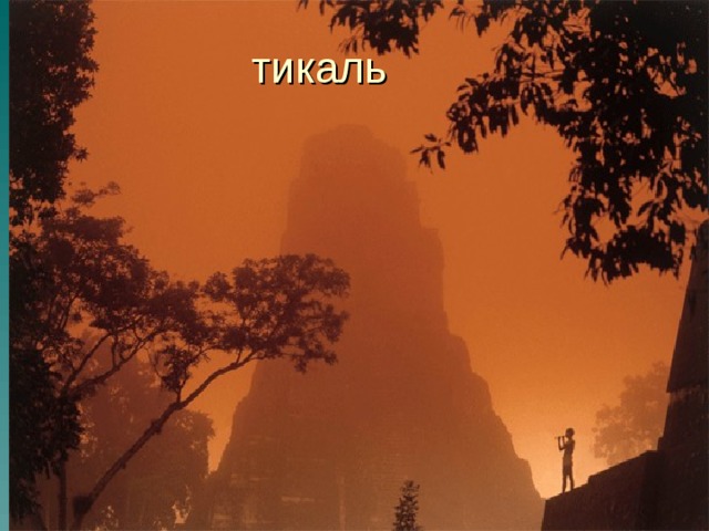 тикаль 