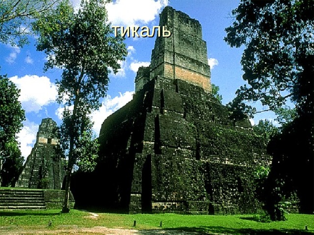 тикаль 