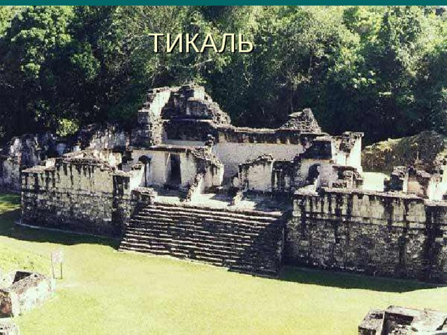 ТИКАЛЬ 