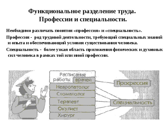 Функциональное разделение труда.  Профессии и специальности.  Необходимо различать понятия «профессия» и «специальность».  Профессия - род трудовой деятельности, требующий специальных знаний и опыта и обеспечивающий условия существования человека.  Специальность - более узкая область приложения физических и духовных сил человека в рамках той или иной профессии. 