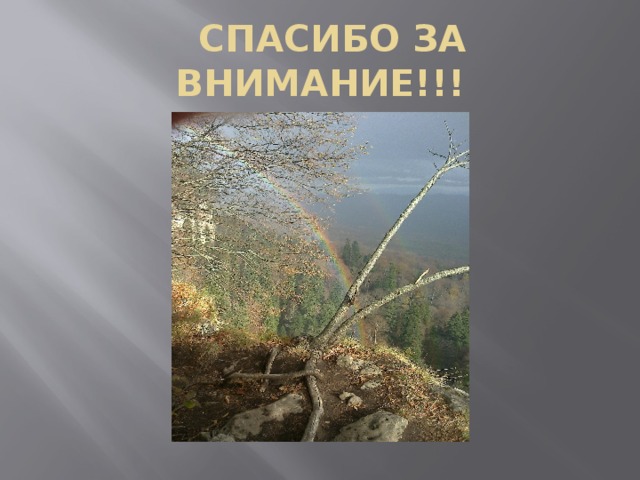  СПАСИБО ЗА ВНИМАНИЕ!!! 