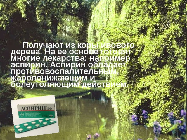 Получают из коры ивового дерева. На ее основе готовят многие лекарства: например аспирин. Аспирин обладает противовоспалительным, жаропонижающим и болеутоляющим действием.