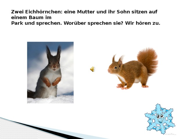 Zwei Eichhörnchen: eine Mutter und ihr Sohn sitzen auf einem Baum im  Park und sprechen. Worüber sprechen sie? Wir hören zu. 