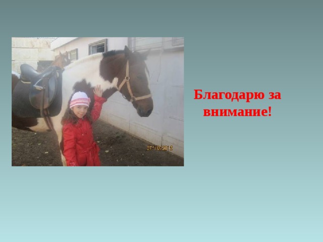 Благодарю за внимание! 