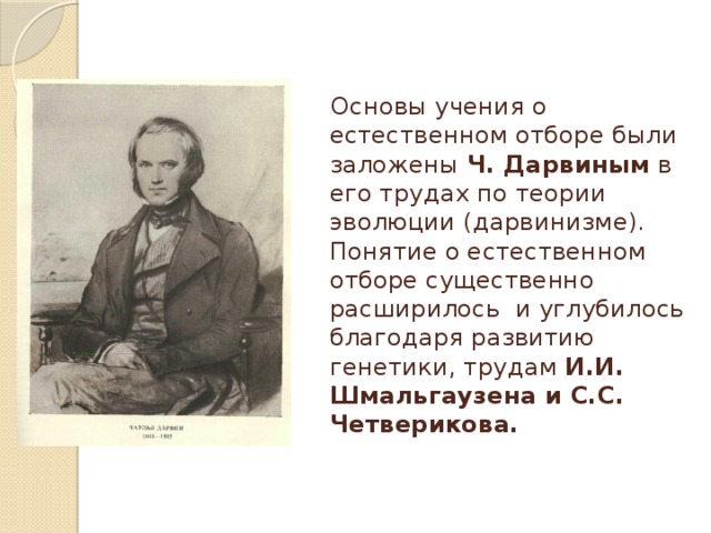 Основы учения о естественном отборе были заложены Ч. Дарвиным в его трудах по теории эволюции (дарвинизме). Понятие о естественном отборе существенно расширилось и углубилось благодаря развитию генетики, трудам И.И. Шмальгаузена и С.С. Четверикова. 