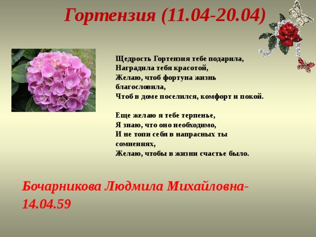 Гортензия (11.04-20.04) Щедрость Гортензия тебе подарила,  Наградила тебя красотой,  Желаю, чтоб фортуна жизнь благословила,  Чтоб в доме поселился, комфорт и покой.   Еще желаю я тебе терпенье,  Я знаю, что оно необходимо,  И не топи себя в напрасных ты сомнениях,  Желаю, чтобы в жизни счастье было.   Бочарникова Людмила Михайловна- 14.04.59 