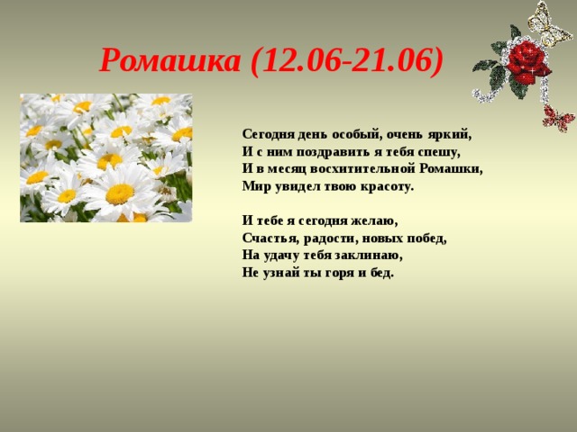 Ромашка (12.06-21.06) Сегодня день особый, очень яркий,  И с ним поздравить я тебя спешу,  И в месяц восхитительной Ромашки,  Мир увидел твою красоту.   И тебе я сегодня желаю,  Счастья, радости, новых побед,  На удачу тебя заклинаю,  Не узнай ты горя и бед.   