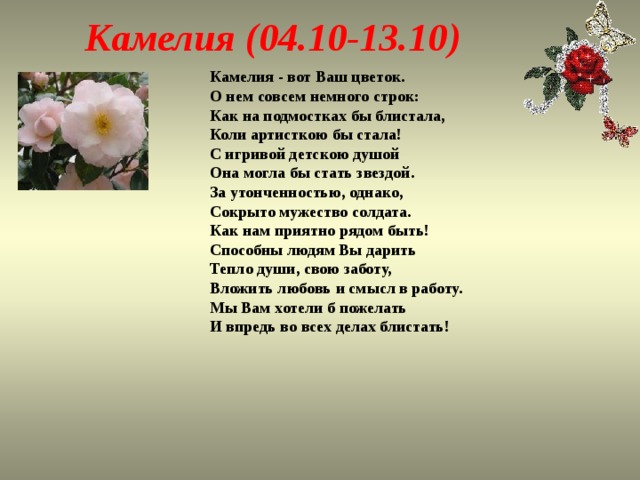 Камелия (04.10-13.10) Камелия - вот Ваш цветок.  О нем совсем немного строк:  Как на подмостках бы блистала,  Коли артисткою бы стала!  С игривой детскою душой  Она могла бы стать звездой.  За утонченностью, однако,  Сокрыто мужество солдата.  Как нам приятно рядом быть!  Способны людям Вы дарить  Тепло души, свою заботу,  Вложить любовь и смысл в работу.  Мы Вам хотели б пожелать  И впредь во всех делах блистать! 