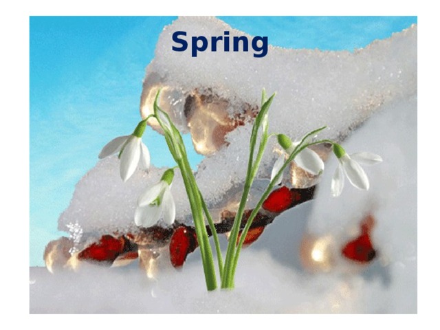 Spring 