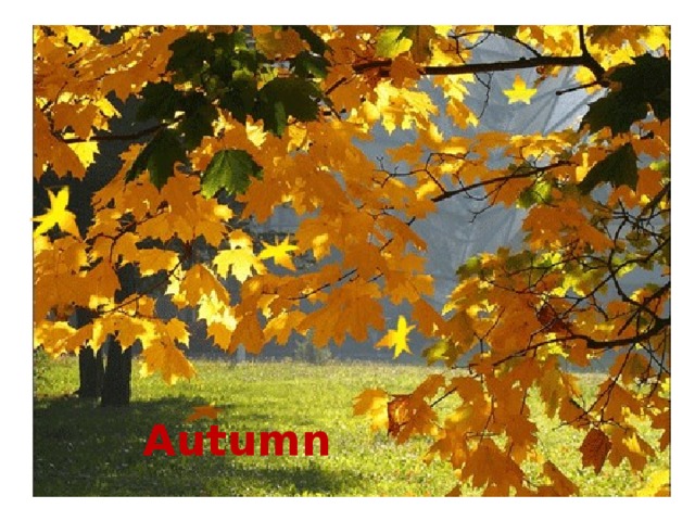 Autumn 