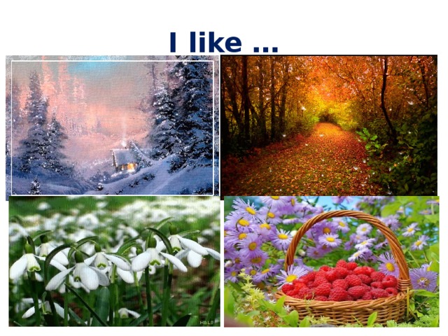 I like … 